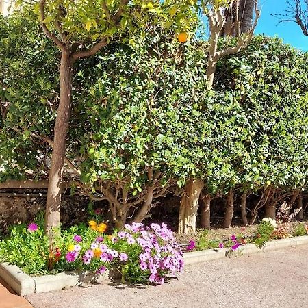הייר Rez-De-Chaussee Privatif Spacieux 3* D'Une Villa Centre Ville מראה חיצוני תמונה