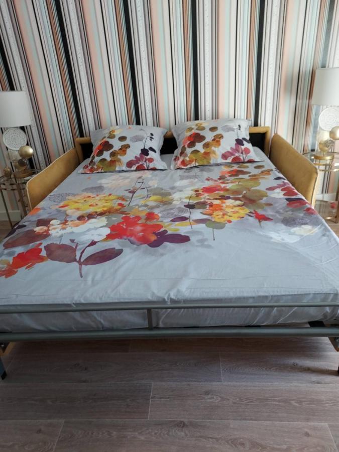 הייר Rez-De-Chaussee Privatif Spacieux 3* D'Une Villa Centre Ville מראה חיצוני תמונה