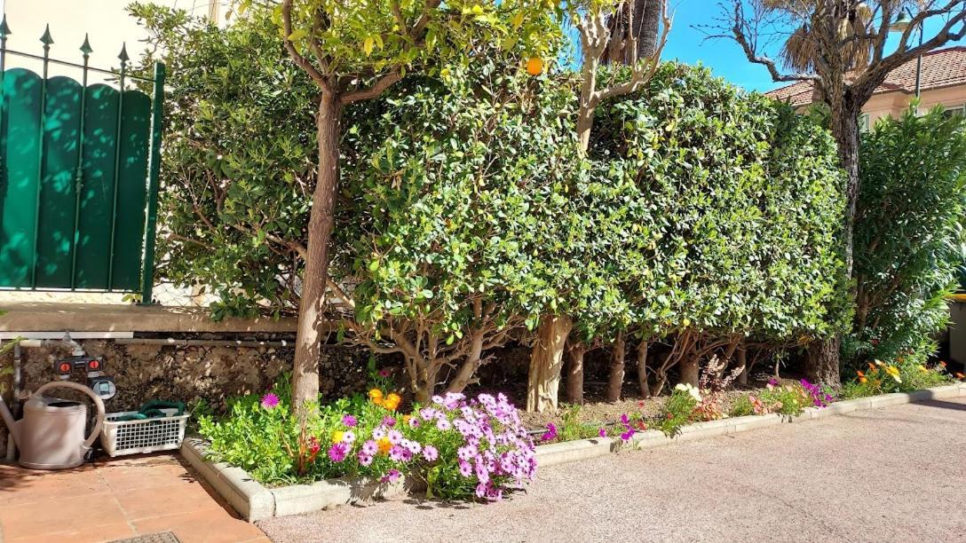 הייר Rez-De-Chaussee Privatif Spacieux 3* D'Une Villa Centre Ville מראה חיצוני תמונה